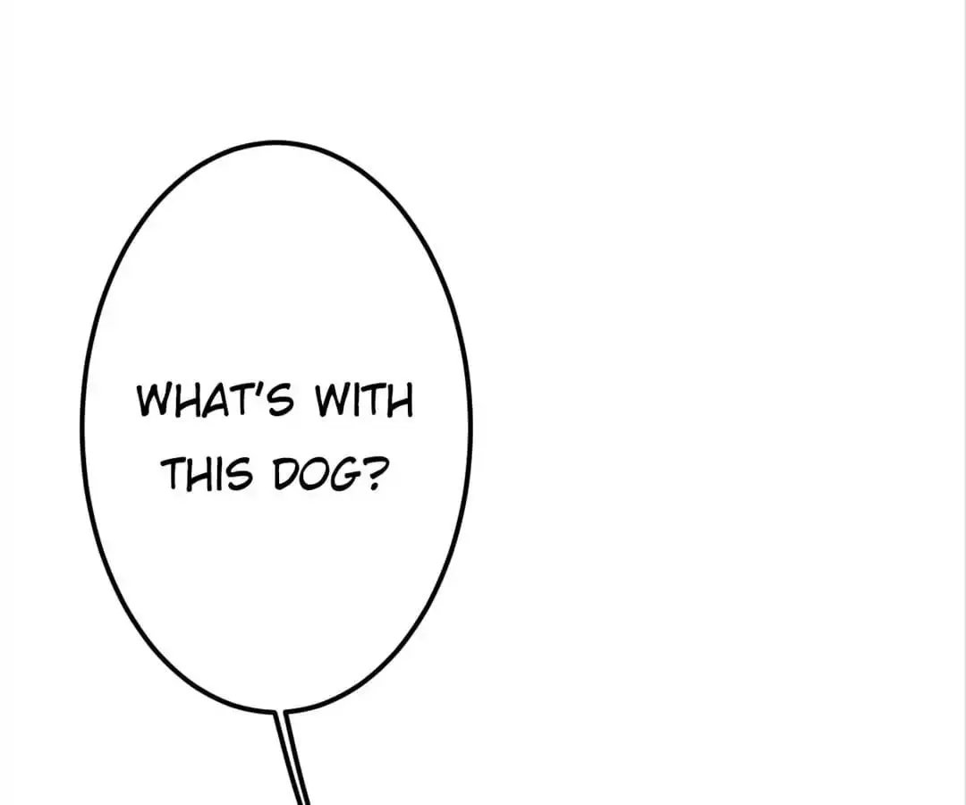 A Cat's World Chapter 5 page 11 - 