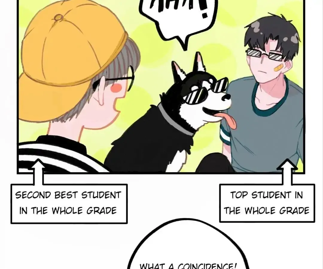 A Cat's World Chapter 5 page 21 - 