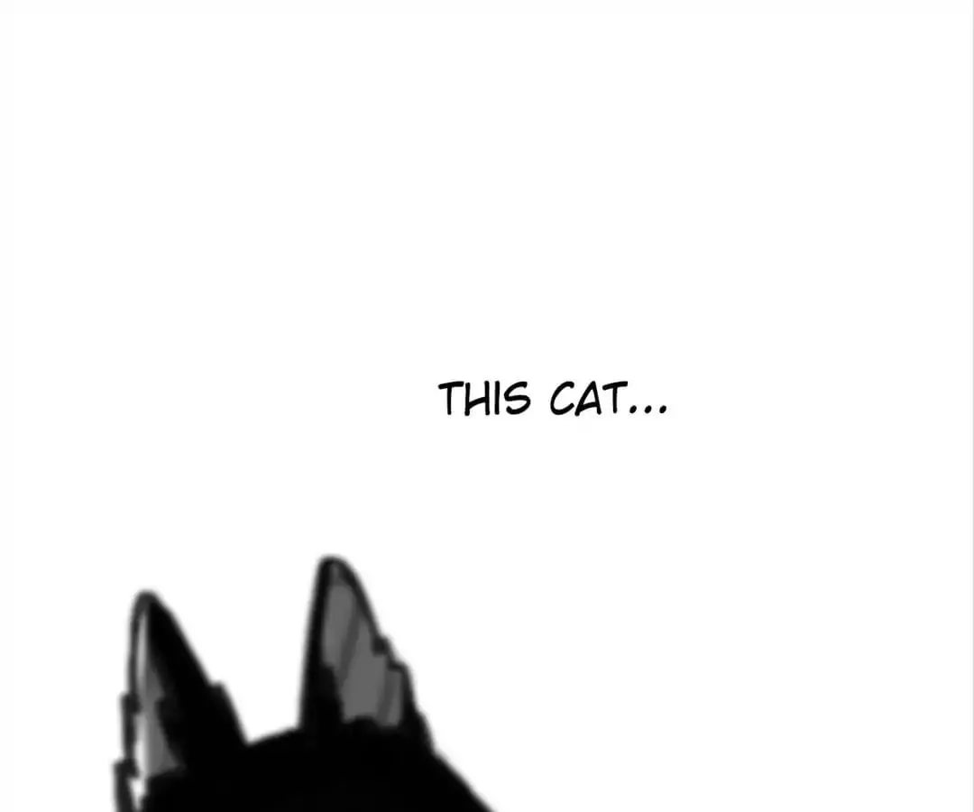 A Cat's World Chapter 5 page 33 - 