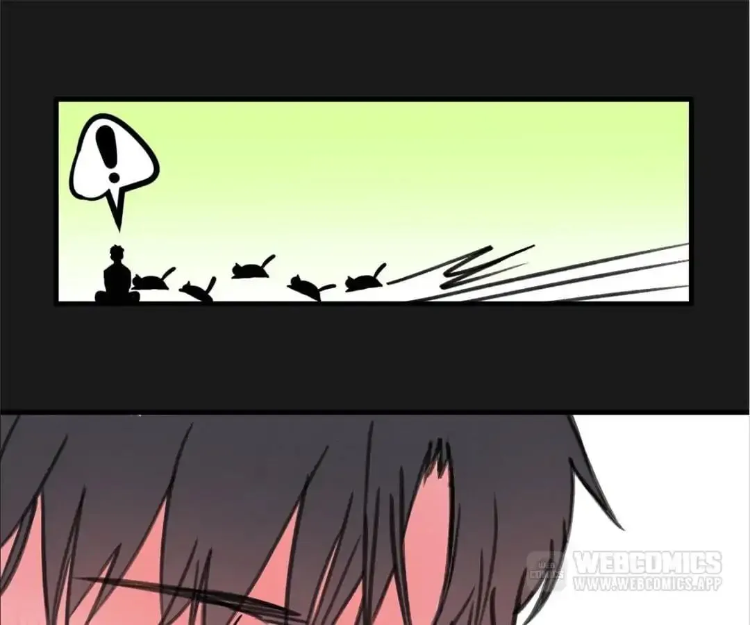 A Cat's World Chapter 5 page 62 - 