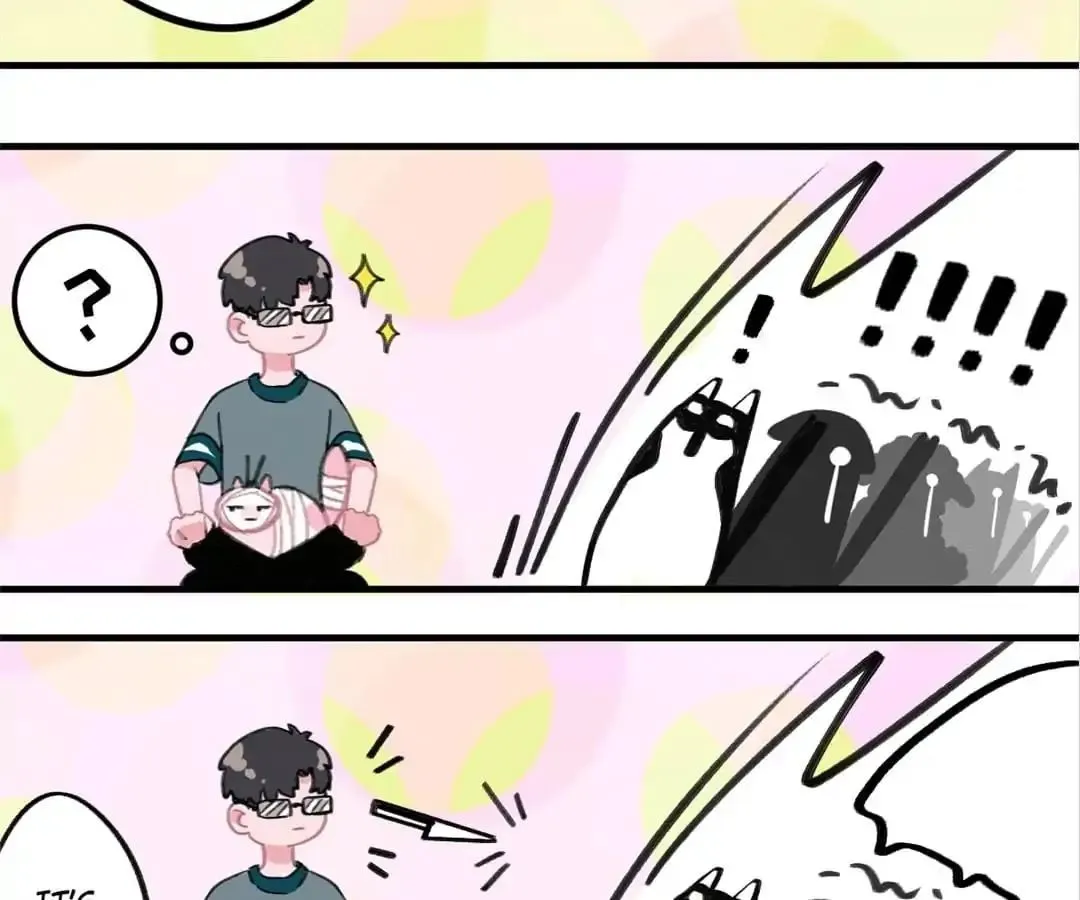 A Cat's World Chapter 5 page 67 - 