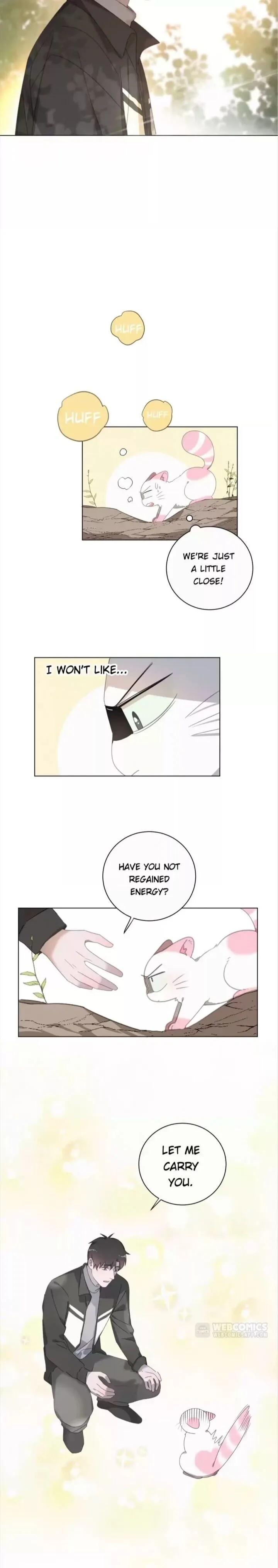 A Cat's World Chapter 54 page 11 - 