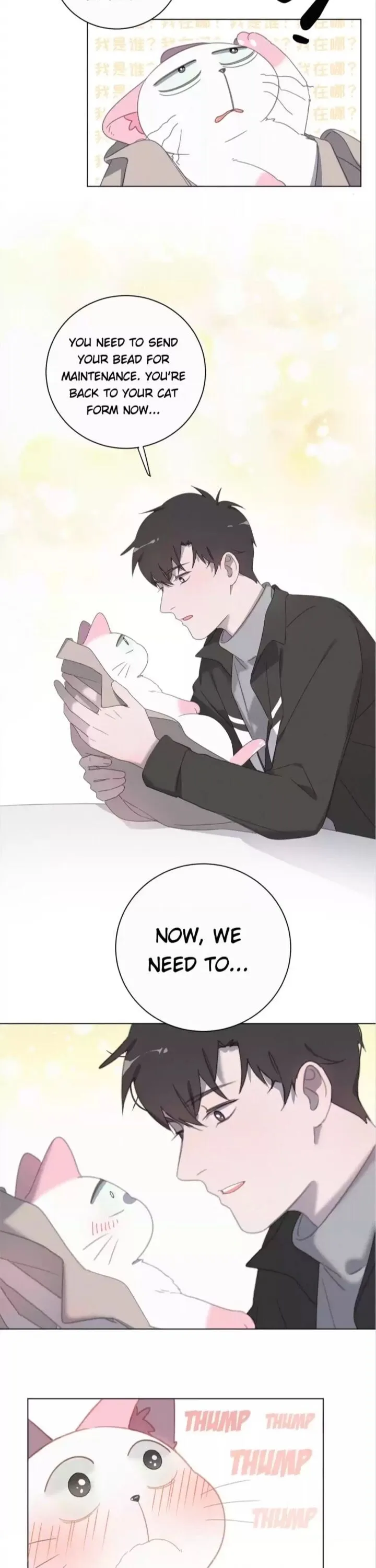 A Cat's World Chapter 54 page 3 - 