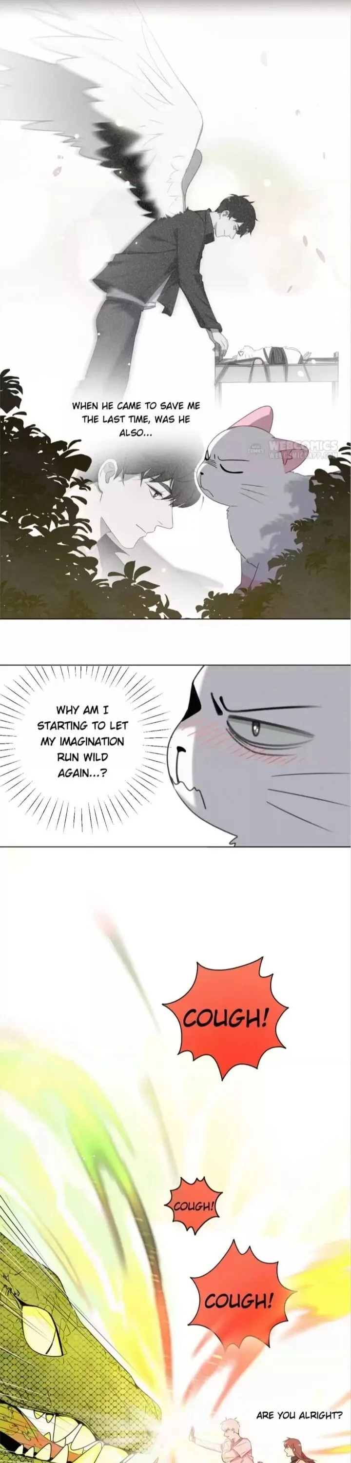 A Cat's World Chapter 55 page 6 - 