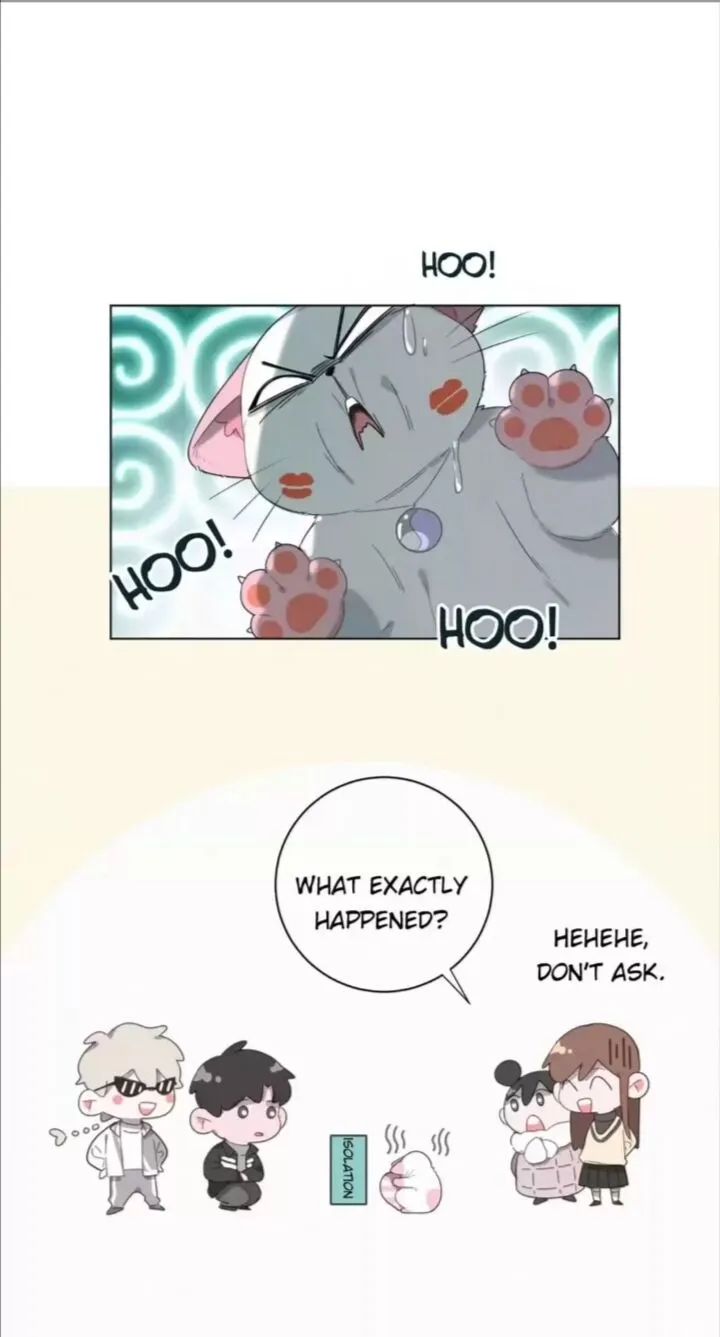 A Cat's World Chapter 57 page 13 - 