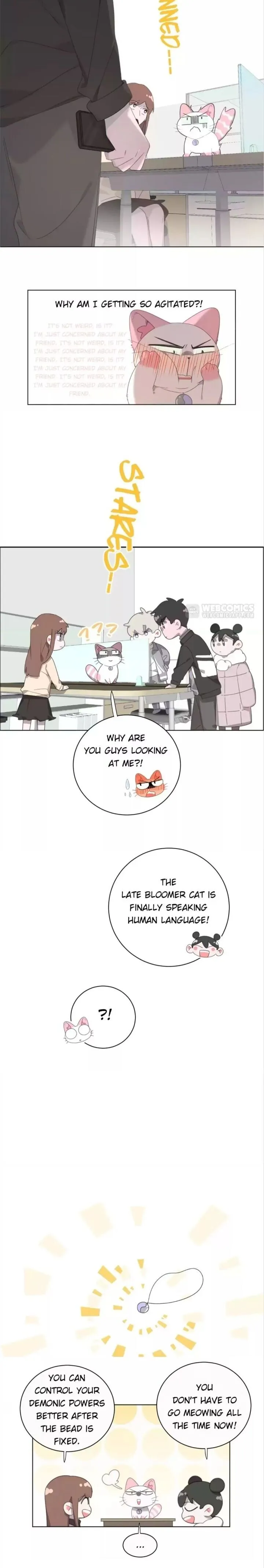 A Cat's World Chapter 57 page 4 - 