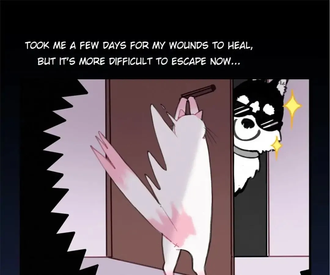 A Cat's World Chapter 6 page 5 - 