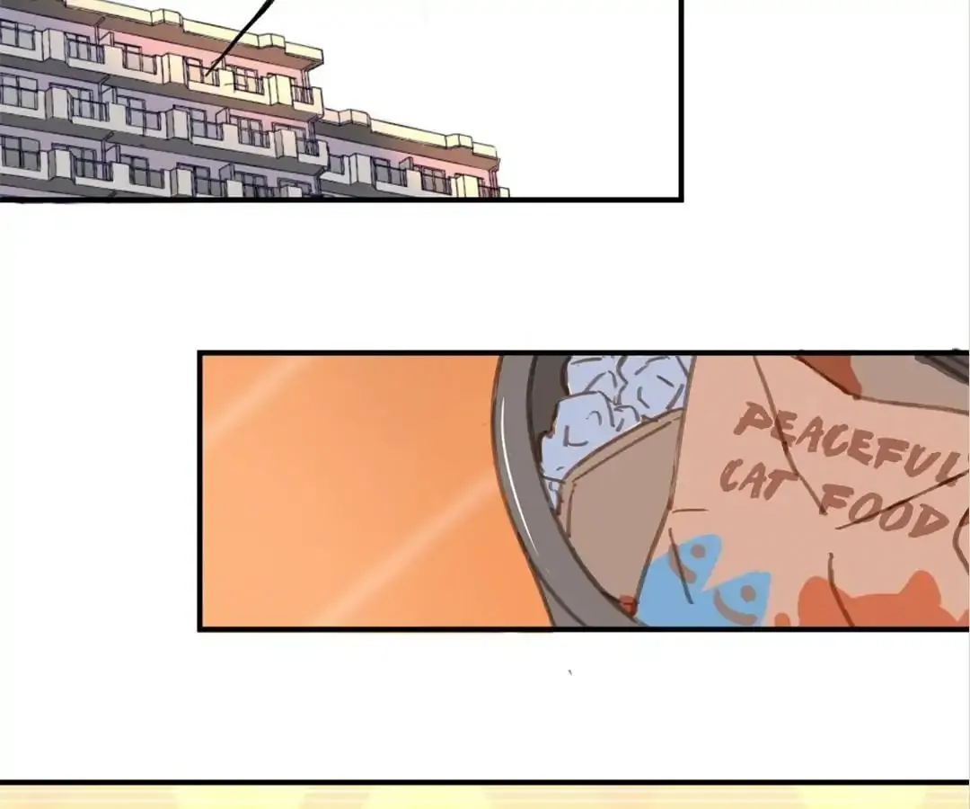 A Cat's World Chapter 6 page 49 - 