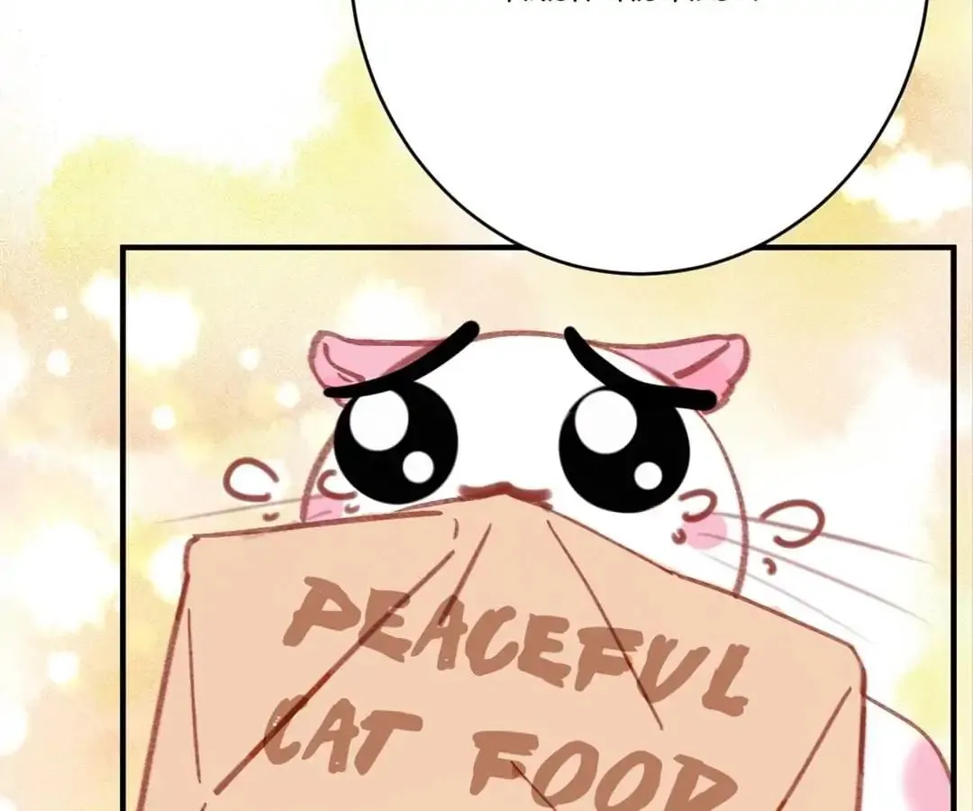 A Cat's World Chapter 6 page 61 - 