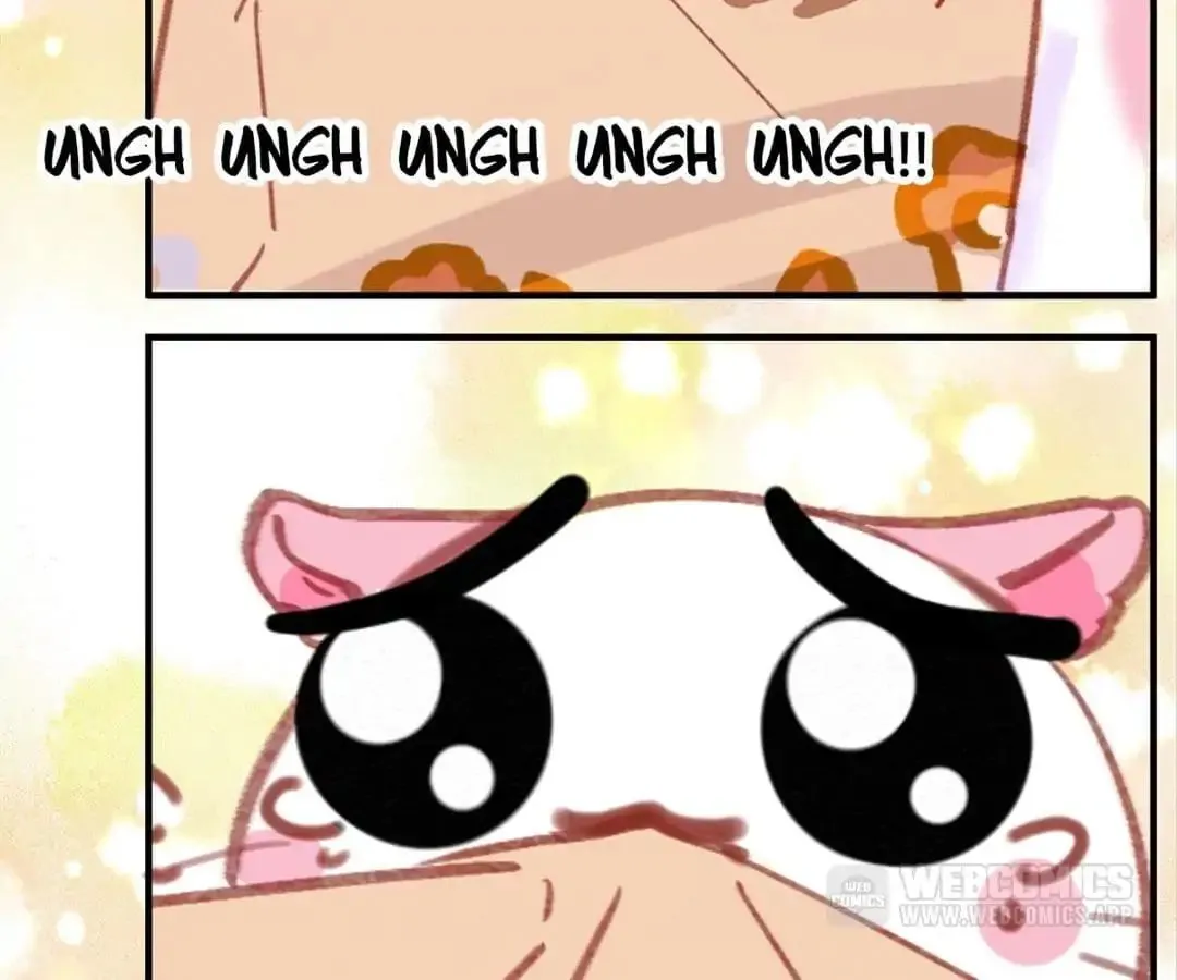 A Cat's World Chapter 6 page 62 - 