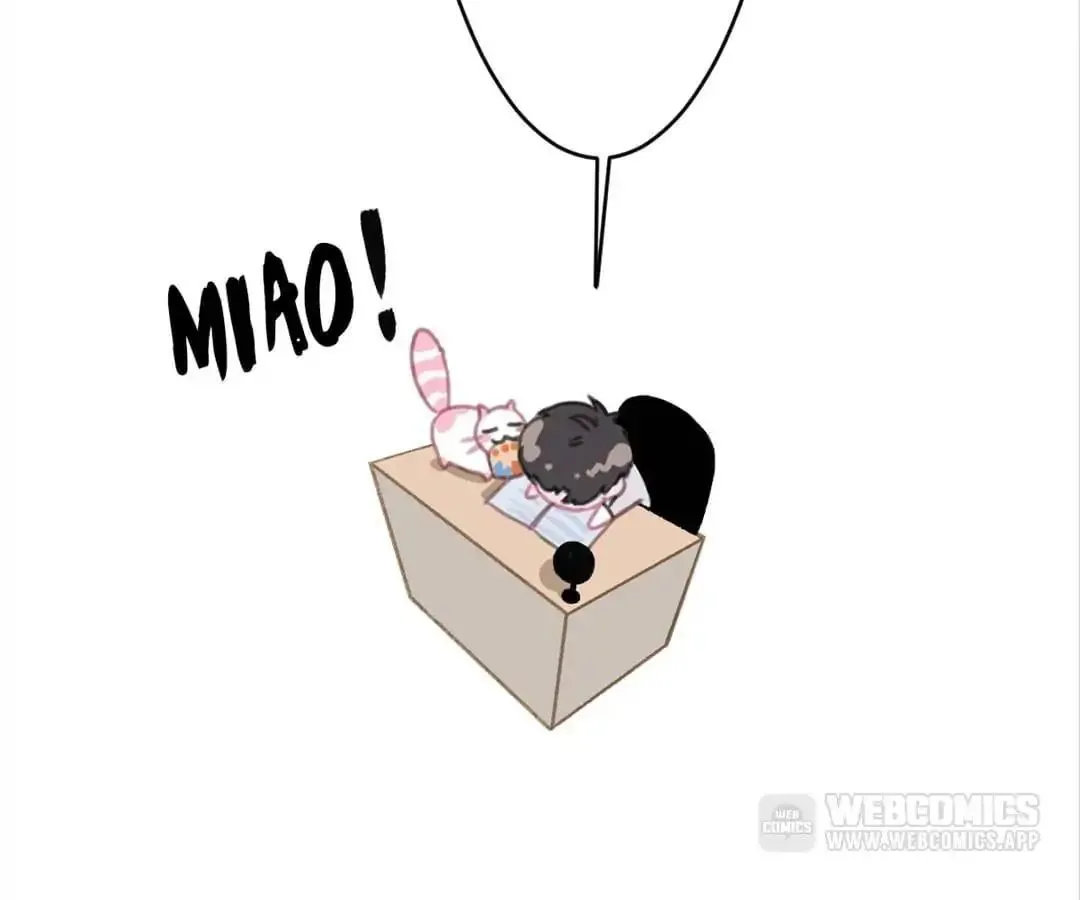A Cat's World Chapter 6 page 66 - 