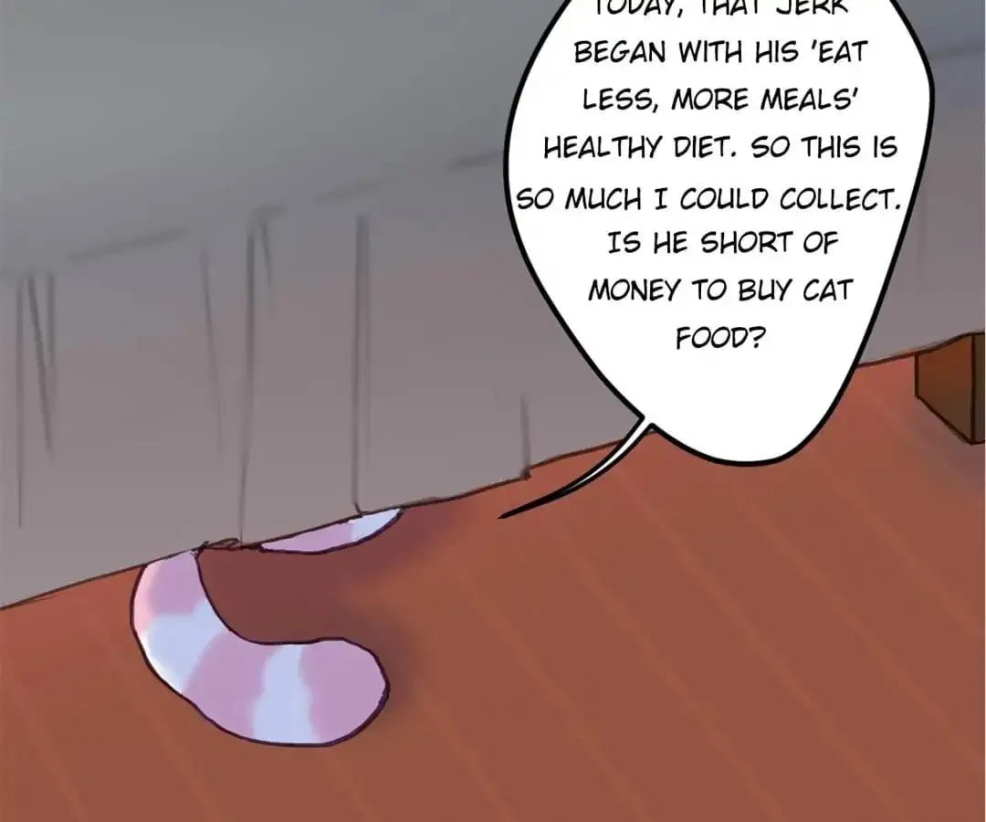 A Cat's World Chapter 6 page 8 - 