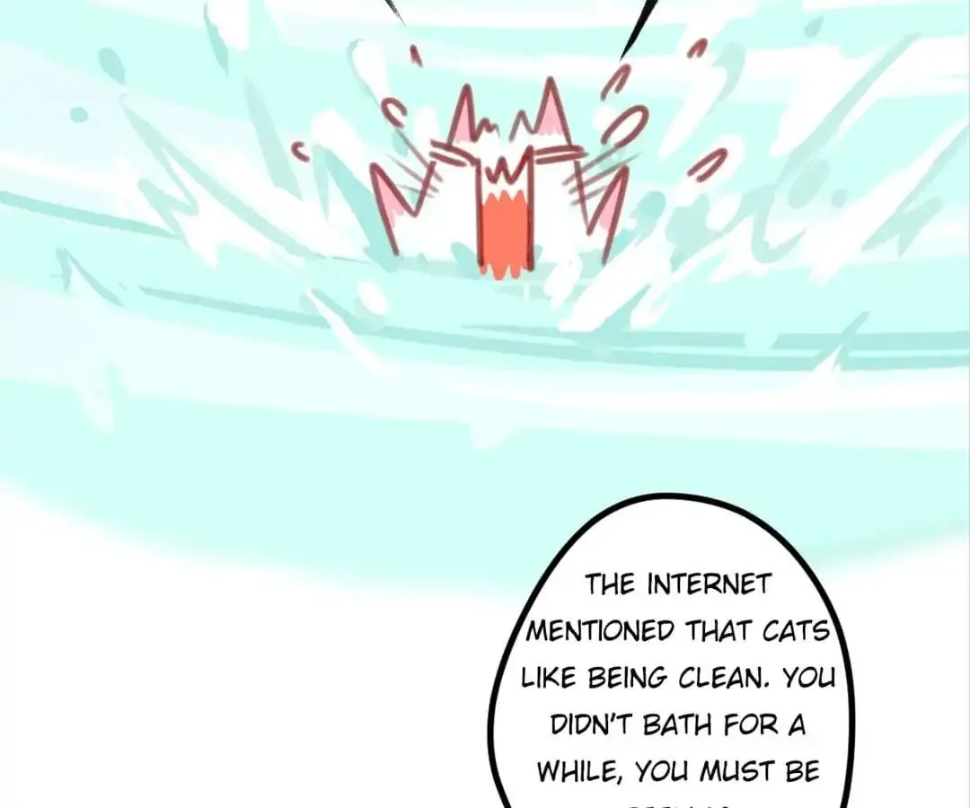 A Cat's World Chapter 6 page 73 - 