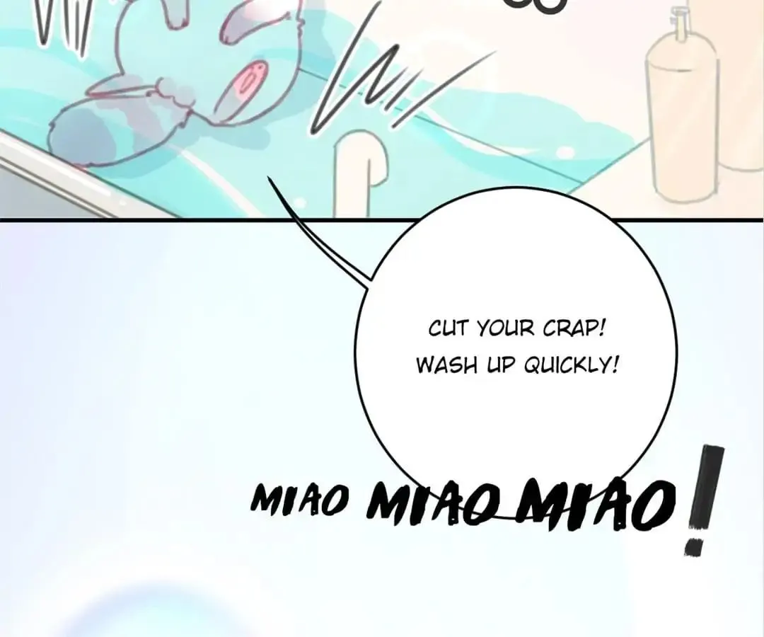 A Cat's World Chapter 6 page 84 - 