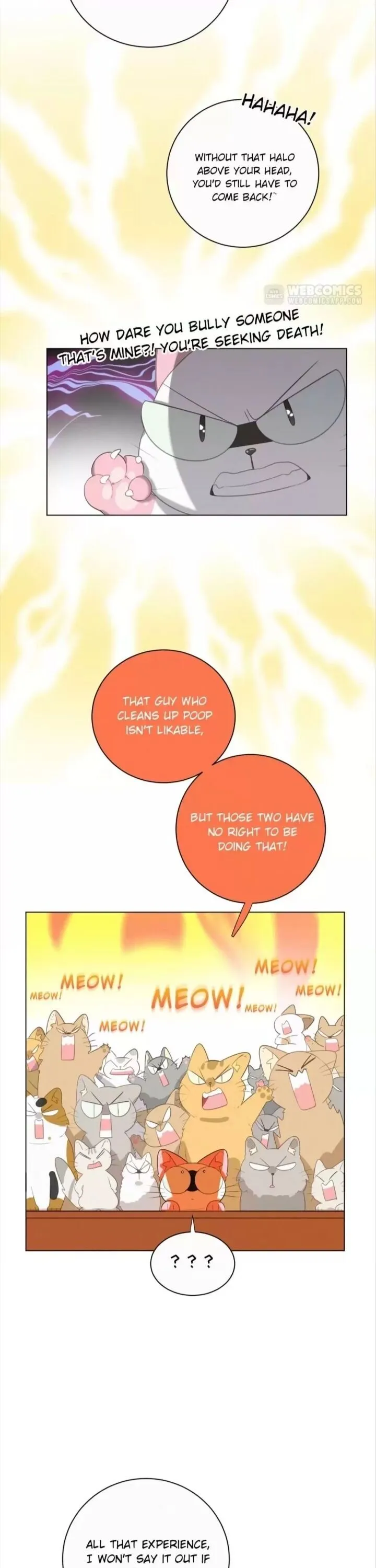 A Cat's World Chapter 63 page 14 - 