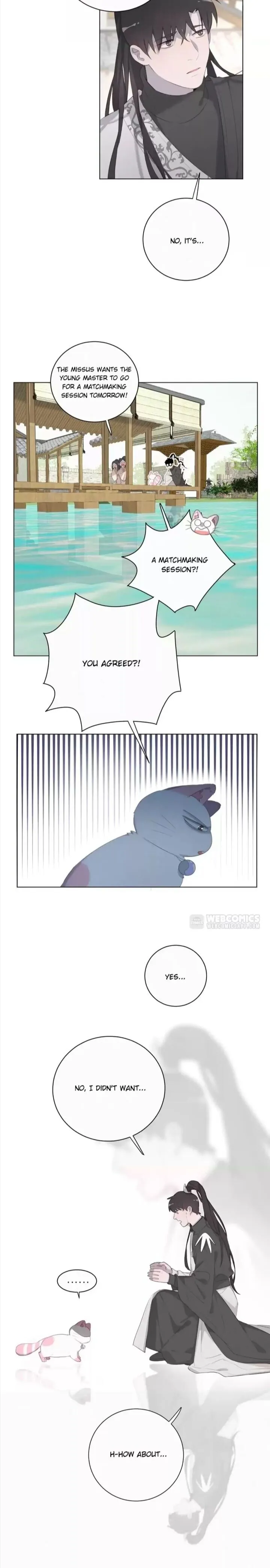 A Cat's World Chapter 64 page 15 - 