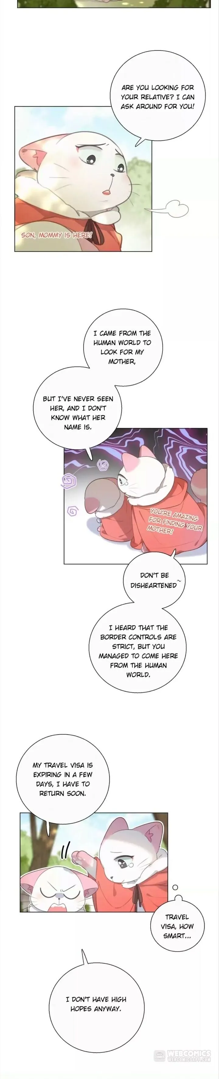A Cat's World Chapter 66 page 8 - 