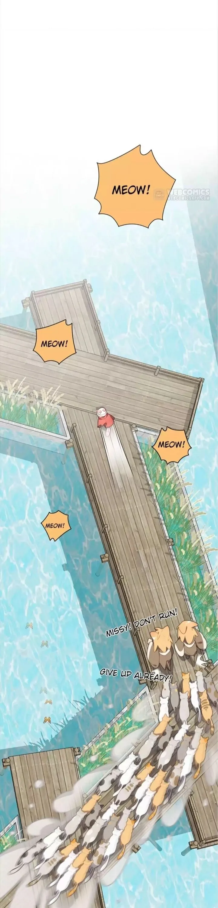 A Cat's World Chapter 68 page 13 - 