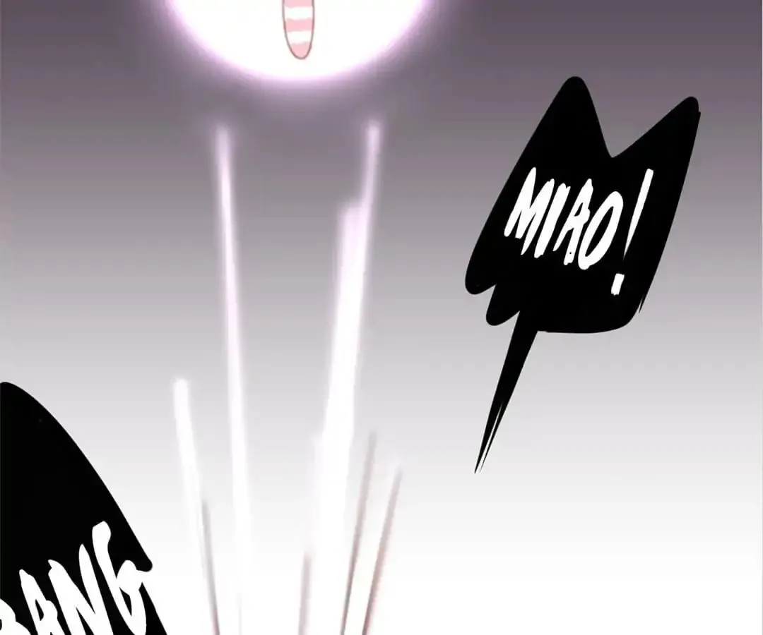 A Cat's World Chapter 7 page 101 - 