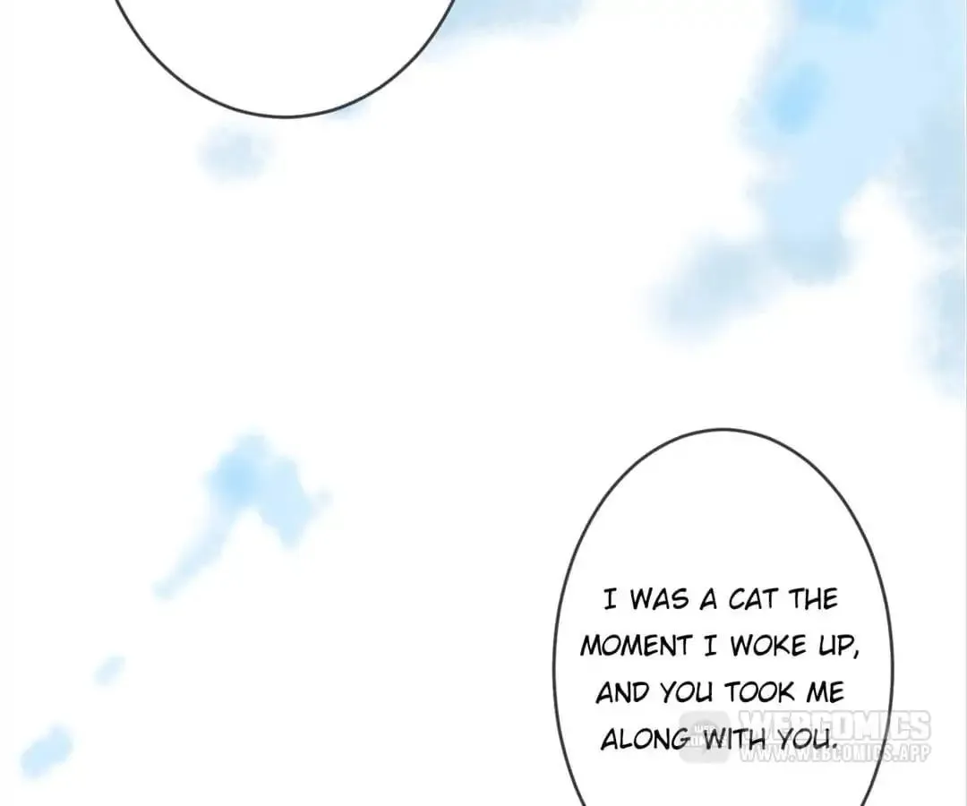 A Cat's World Chapter 7 page 58 - 