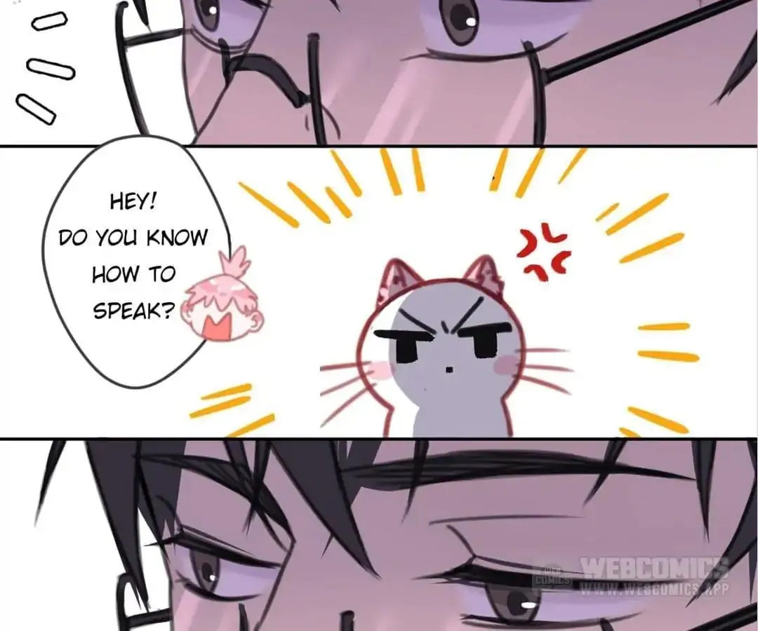 A Cat's World Chapter 7 page 66 - 