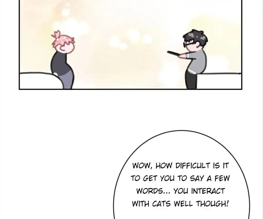 A Cat's World Chapter 7 page 72 - 
