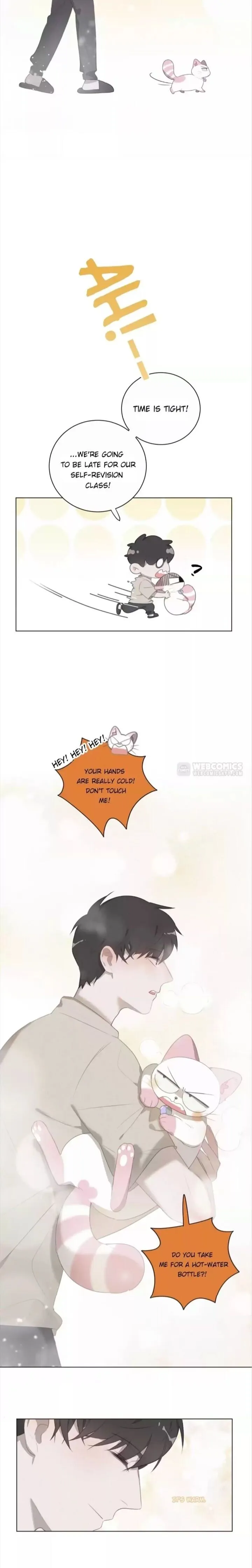 A Cat's World Chapter 71 page 17 - 