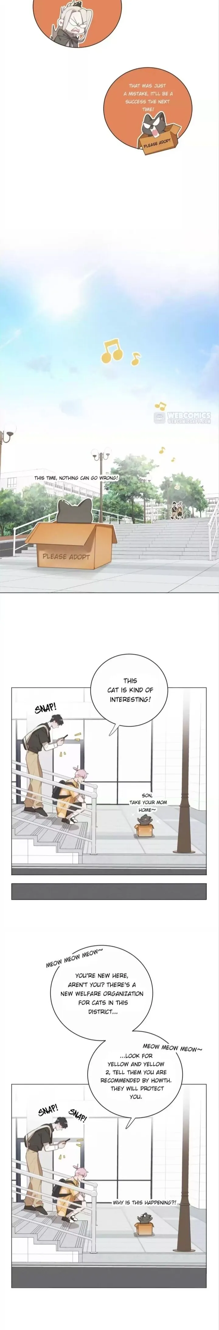 A Cat's World Chapter 74 page 8 - 