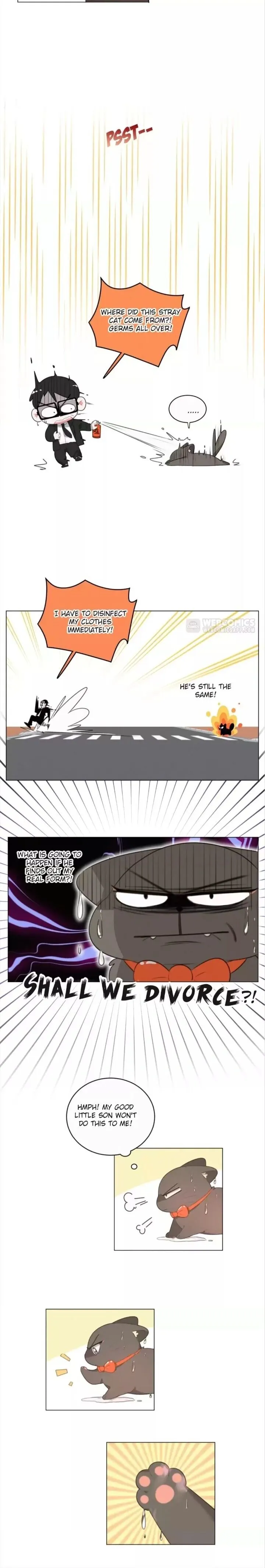 A Cat's World Chapter 75 page 4 - 