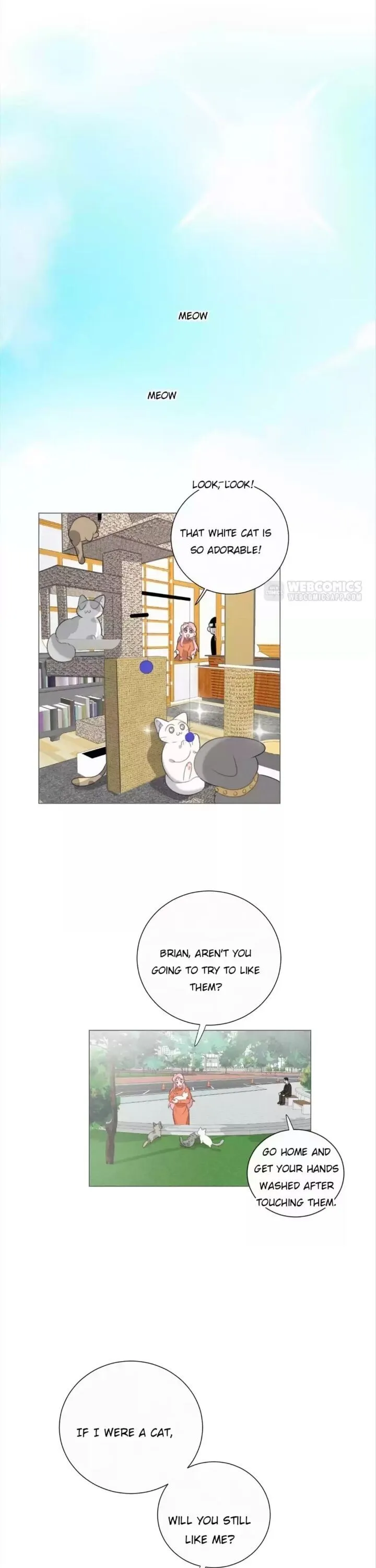A Cat's World Chapter 79 page 1 - 
