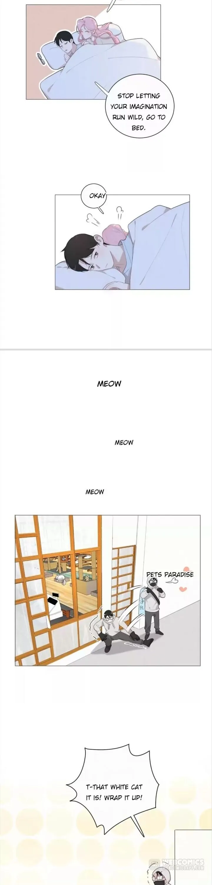 A Cat's World Chapter 79 page 2 - 