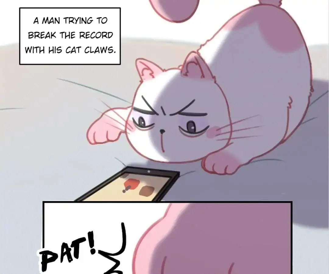 A Cat's World Chapter 8 page 56 - 