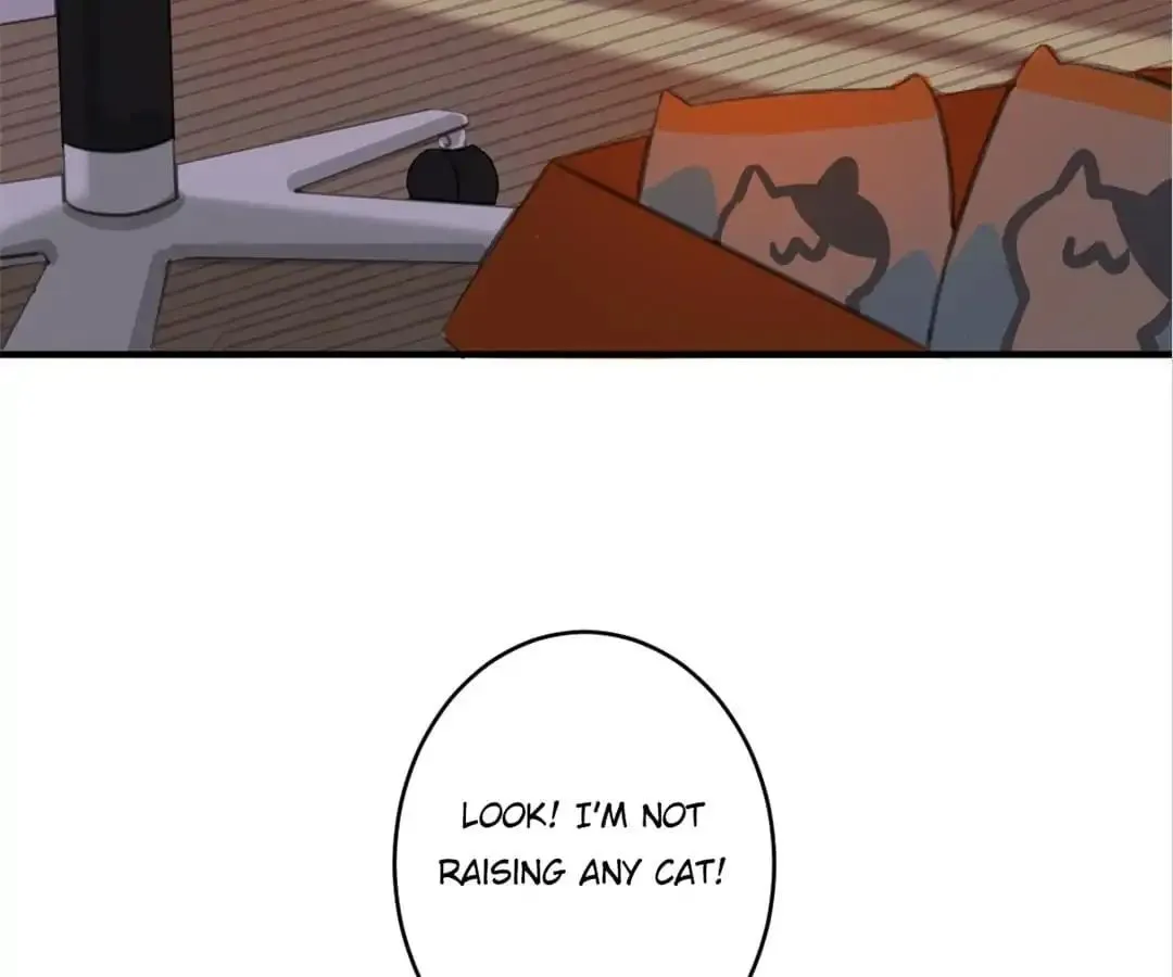 A Cat's World Chapter 8 page 83 - 
