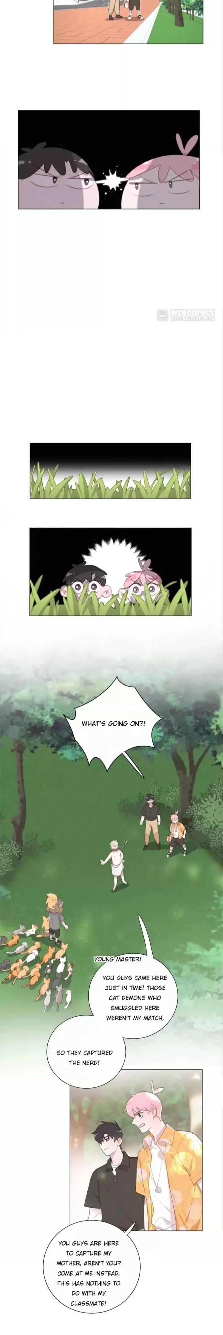 A Cat's World Chapter 80 page 5 - 