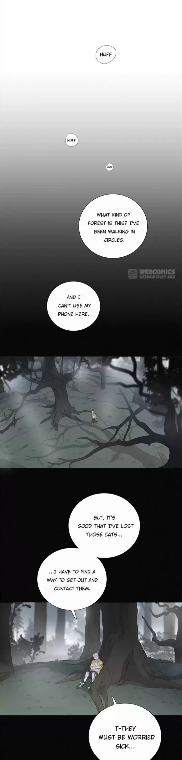 A Cat's World Chapter 82 page 1 - 