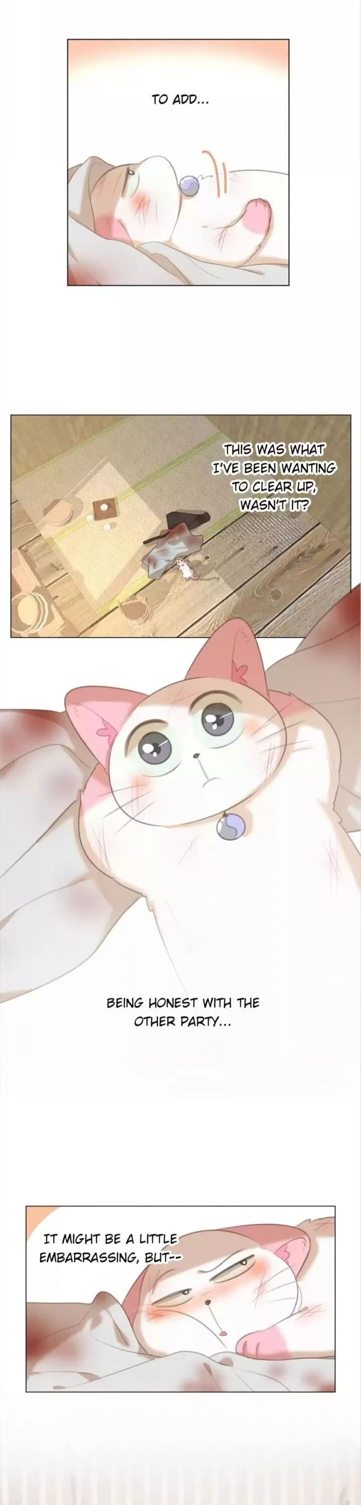 A Cat's World Chapter 89 page 13 - 