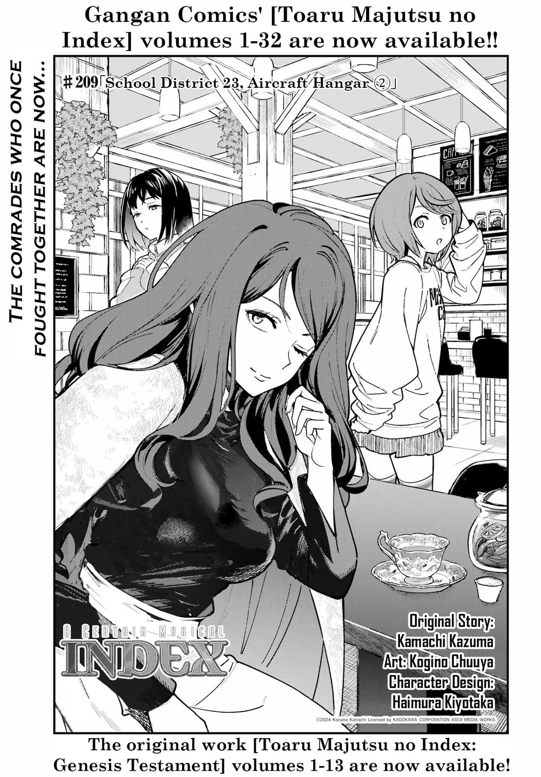 Read A Certain Magical Index chapter 209 image 1 on Lezhin