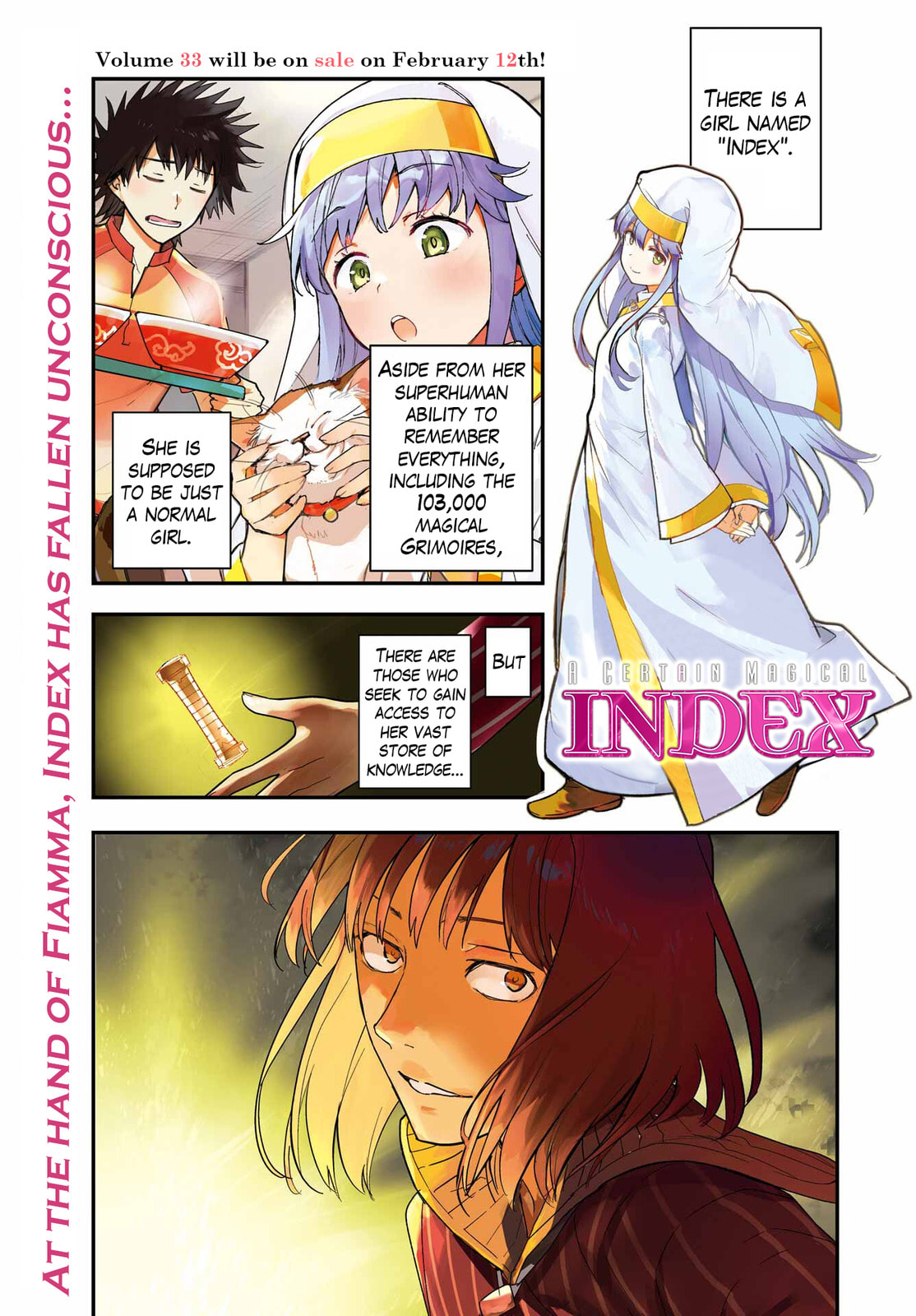 Read A Certain Magical Index chapter 212 image 2 on Lezhin