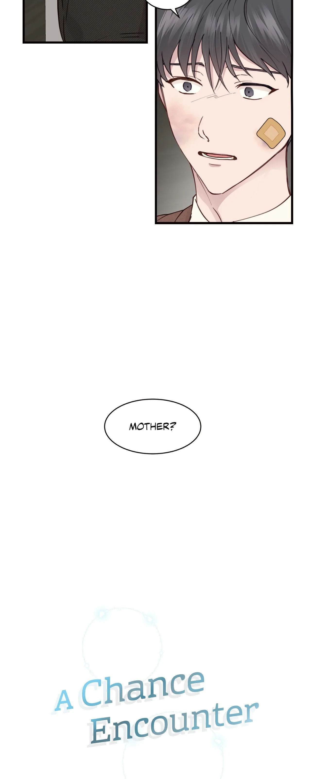 A Chance Encounter Chapter 16 page 15 - 