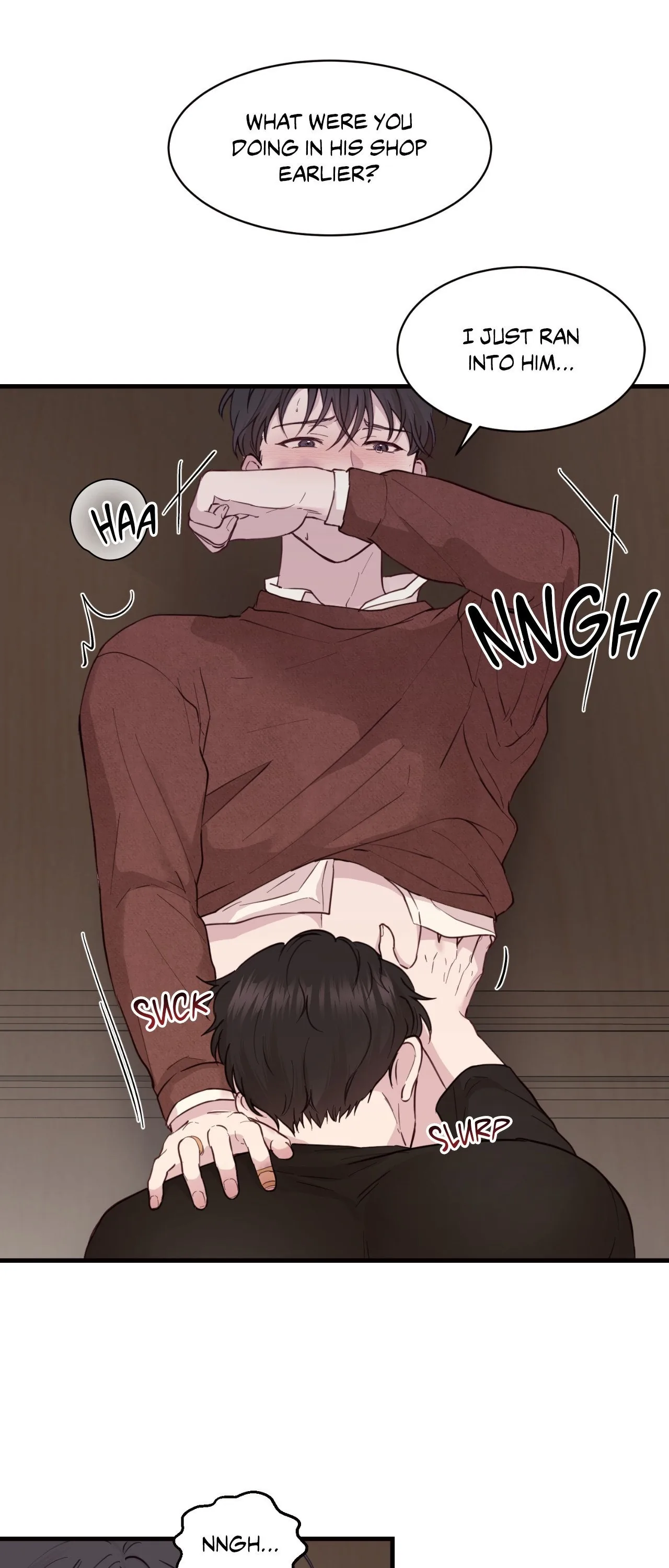 A Chance Encounter Chapter 17 page 27 - 