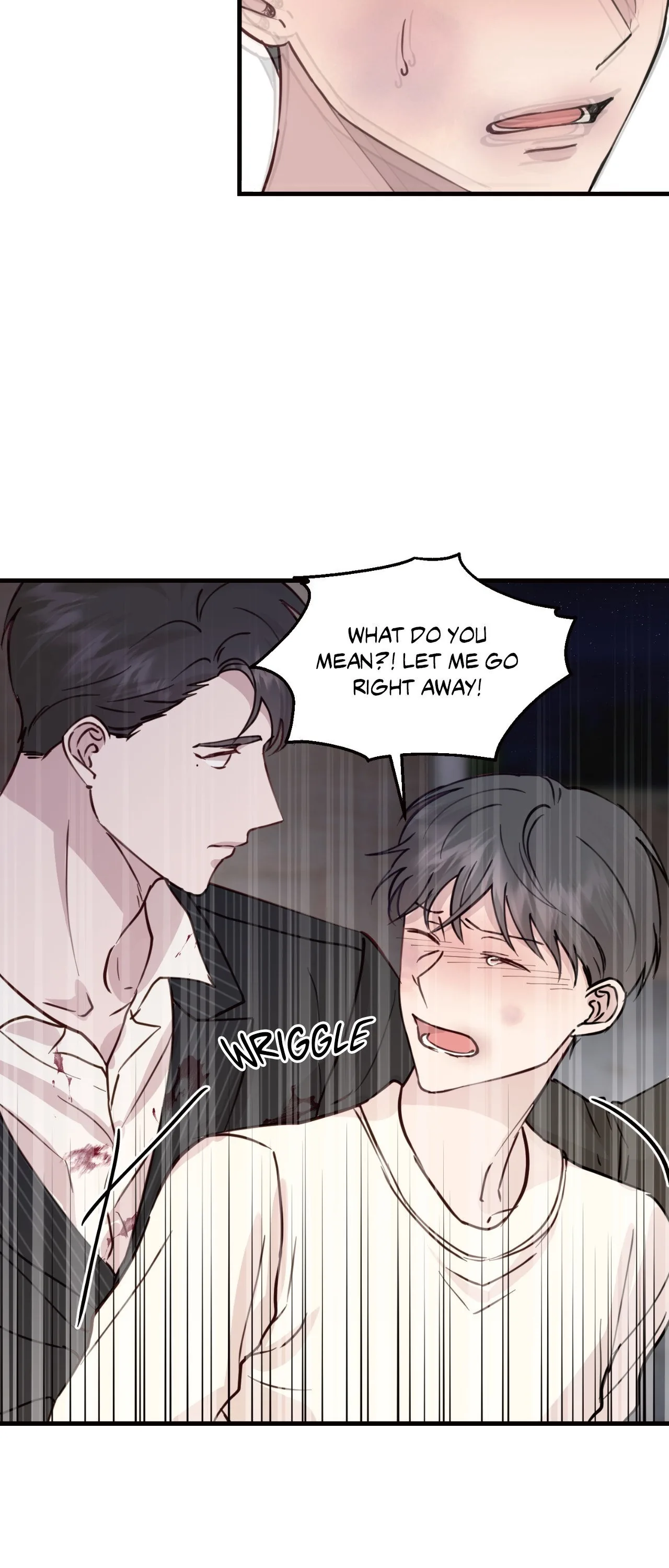 A Chance Encounter Chapter 22 page 30 - 