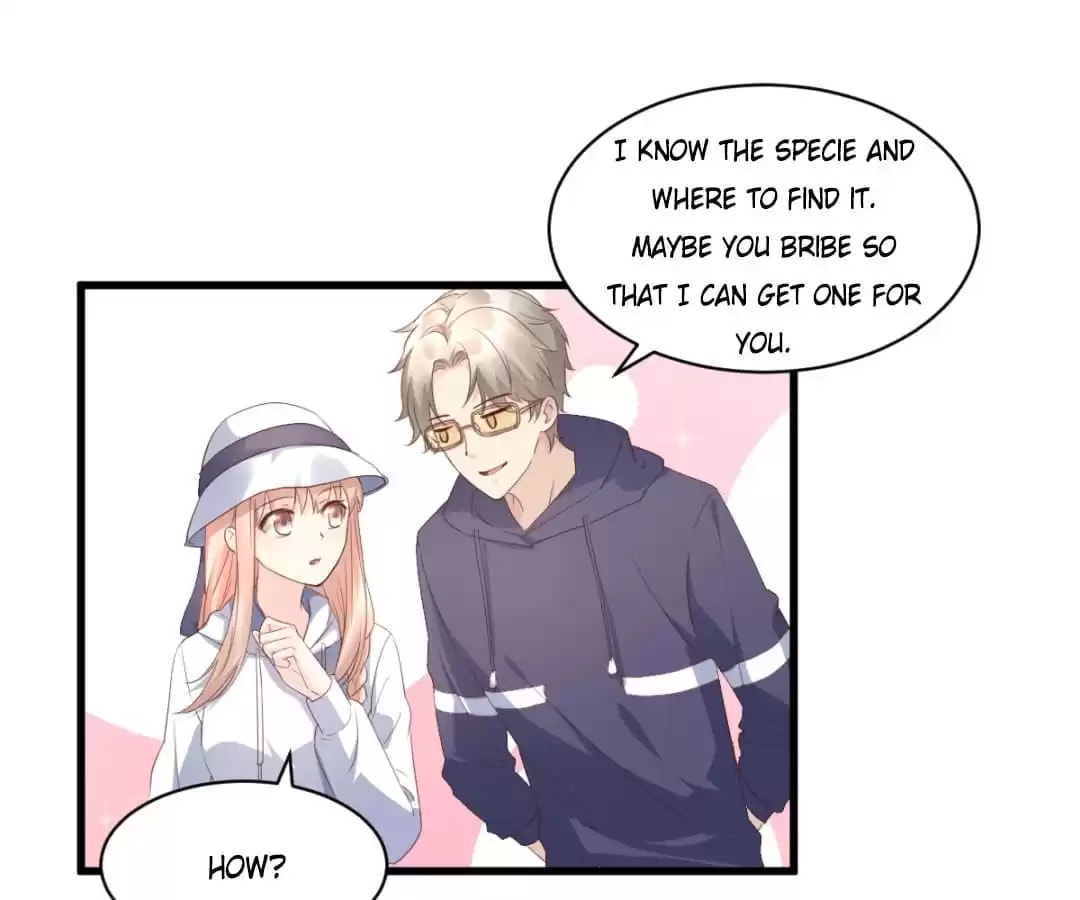 Read A Chance to Cherish (Colored) chapter 15 image 4 on Lezhin