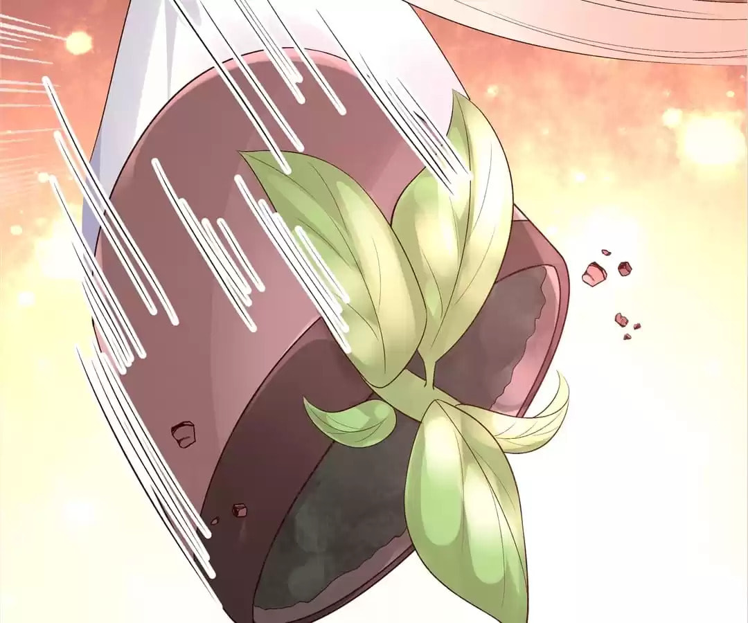A Chance to Cherish Chapter 116 page 43 - 