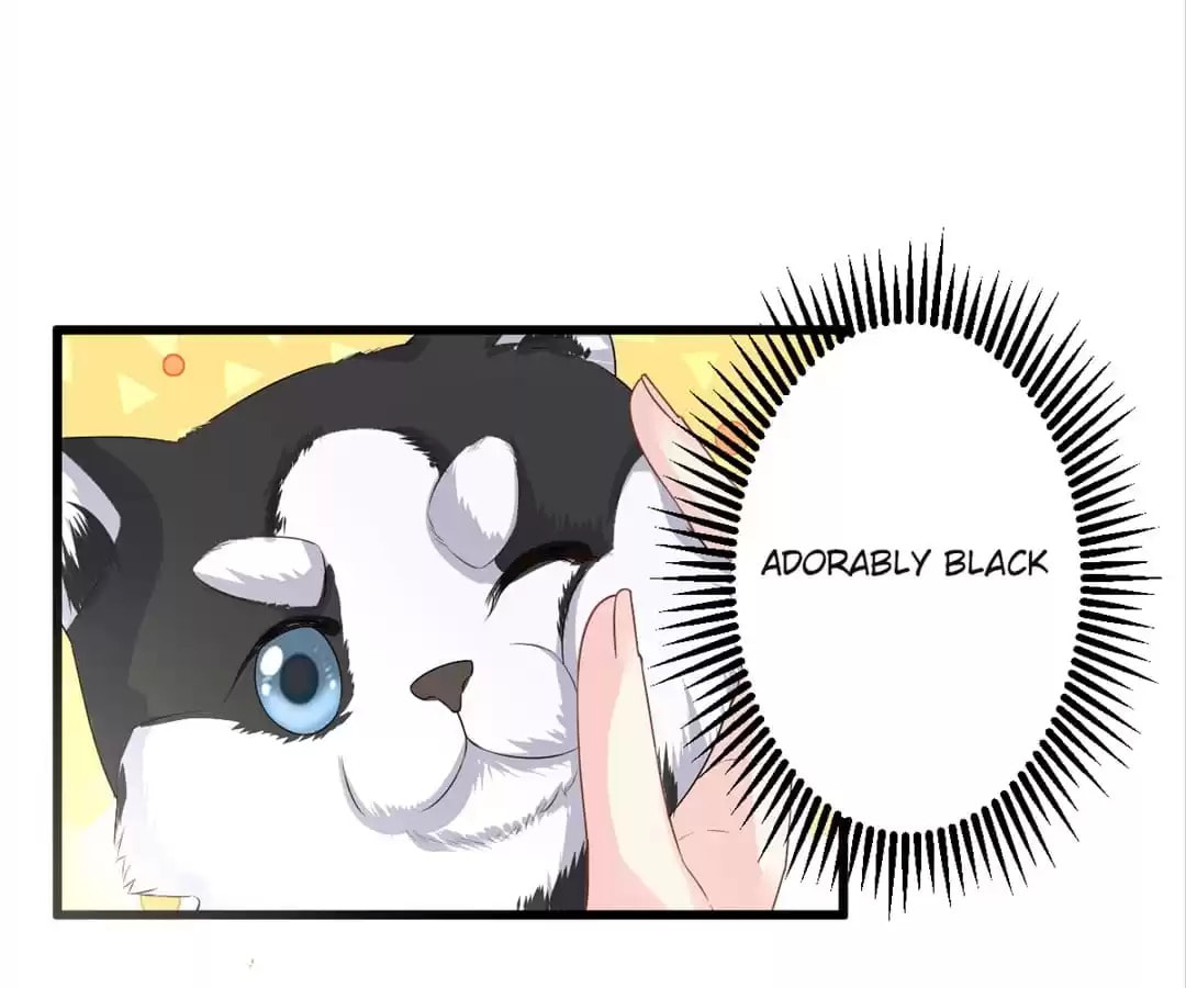 A Chance to Cherish Chapter 26 page 13 - 