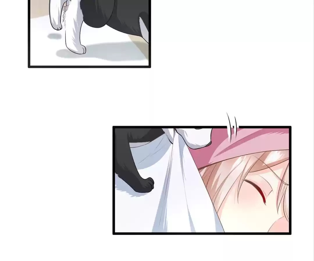 A Chance to Cherish Chapter 26 page 3 - 