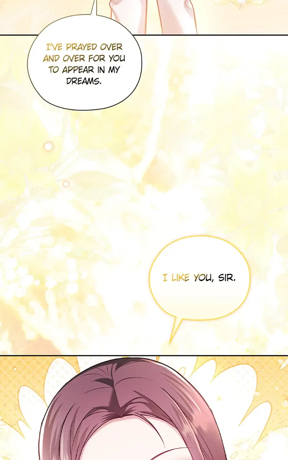 A Confident Marriage Chapter 49 page 13 - 