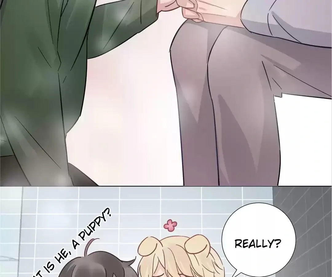 A Cross-Dresser's Triple Proposal Chase Chapter 21 page 42 - 