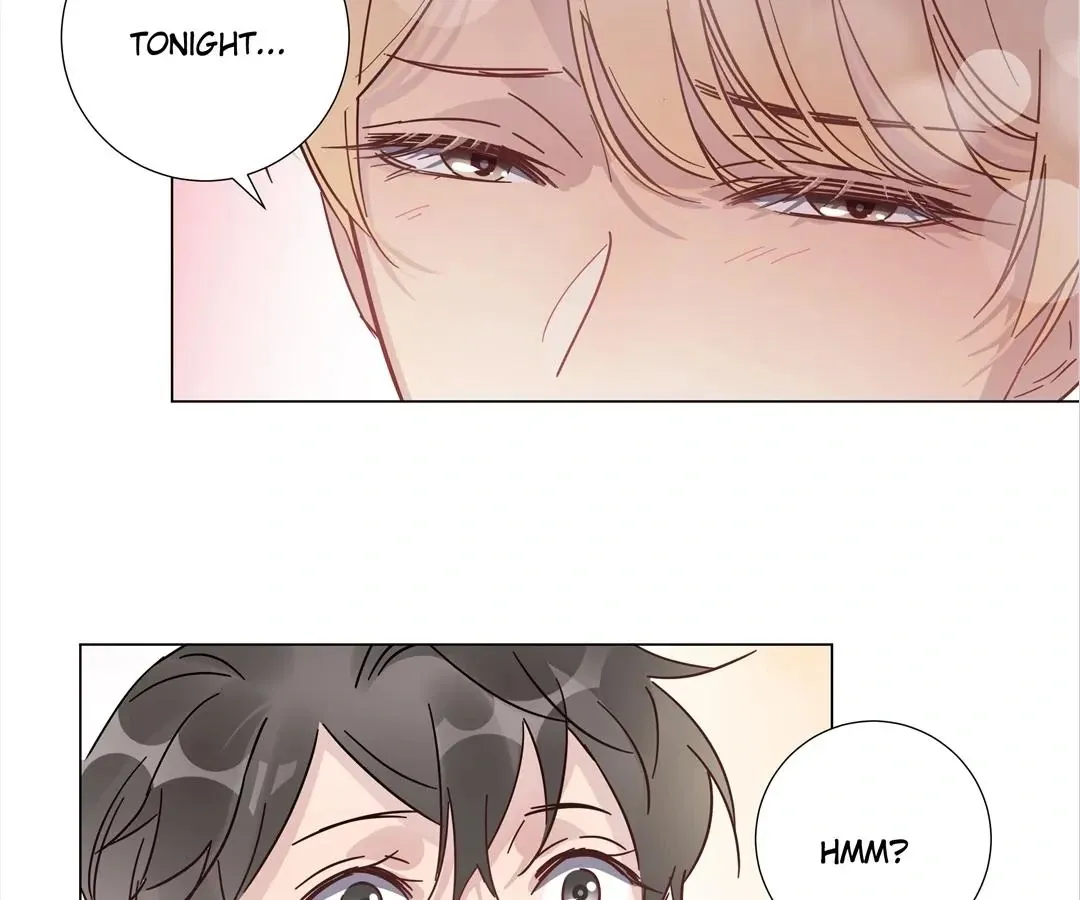 A Cross-Dresser's Triple Proposal Chase Chapter 38 page 17 - 
