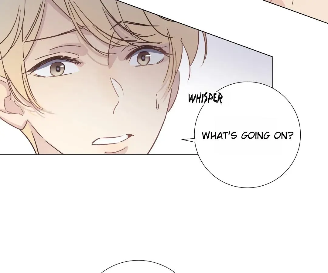 A Cross-Dresser's Triple Proposal Chase Chapter 53 page 17 - 