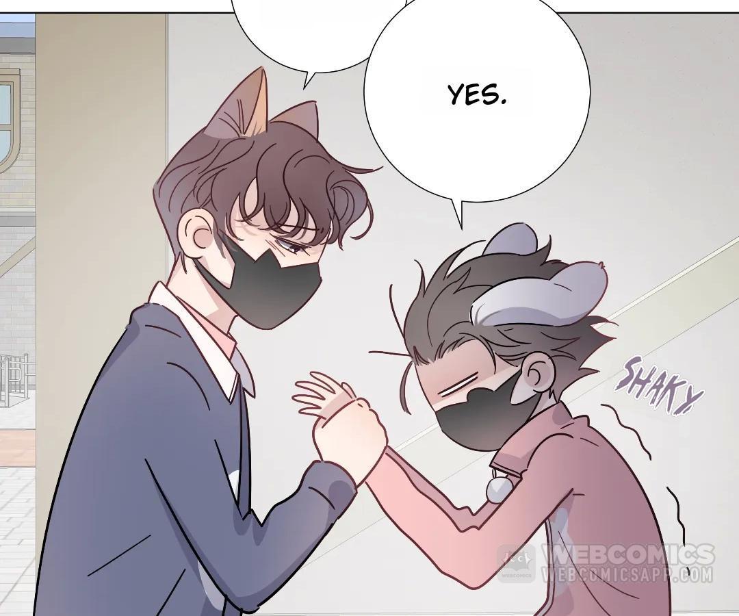 A Cross-Dresser's Triple Proposal Chase Chapter 64 page 27 - 